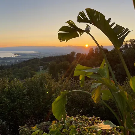 Dom wakacyjny Charmante Mit Traumaussicht Wienacht-Tobel