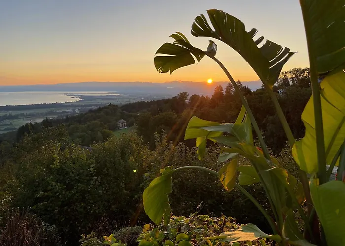 Tatil Evi Charmante Mit Traumaussicht Wienacht-Tobel